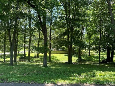 0 Lewis & Albert St unit MAR25013843, Dexter, MO 63841 - photo 4