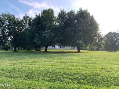 E7498B1D-C3CC-465D-9421-E1D578FBB58E - C