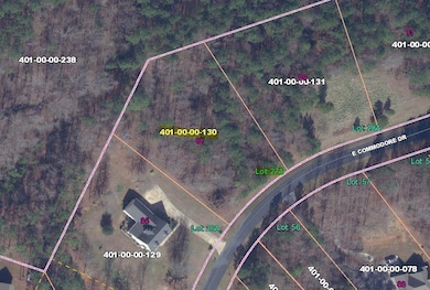 NICE SIZED LAKE ACCESS LOT