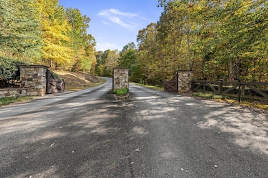 LOT 67 Bridge Rd, Ellijay, GA 30540 - photo 7