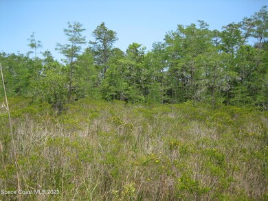 Undeveloped
