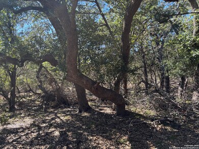 LOT 86 Headwaters Ranch Rd, Kendalia, TX 78027 - photo 4
