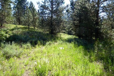 2.47 Acres in Whispering Pines Sub.