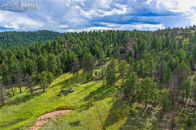 TBD Spring Valley Dr, Florissant, CO 80816 - photo 7