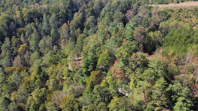 dji_fly_20241011_122826_379_172866420030