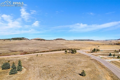 19882 Kershaw Ct, Monument, CO 80132 - photo 6