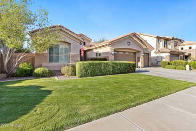 2466 E Ficus Way-2