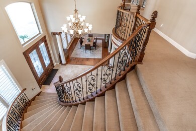 Soaring Grand Entry!