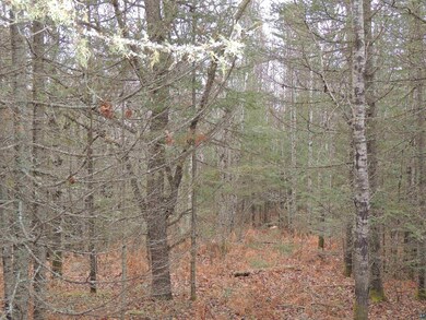 View of nature