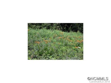 Buterfly weed.