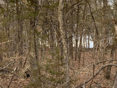 Lake through trees