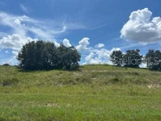 0 N Lake Patrick Rd unit MFRK4903031, Babson Park, FL 33827 - photo 6