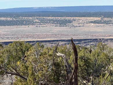 Lot 62 Sierra Highlands Ranch -- unit 62, Saint Johns, AZ 85936 - photo 3