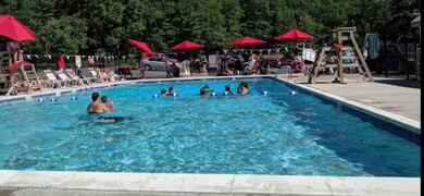 image_123986672 (6)