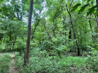 180.14 Johnson Mill Rd, Hamilton, GA 31811 - photo 7