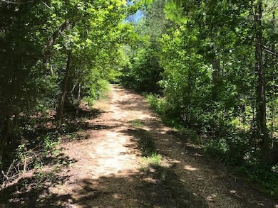 147 Pond Ln, Tennessee Ridge, TN 37178 - photo 7