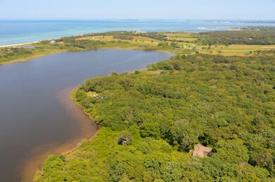 12 Trapps Pond Rd, Edgartown, MA 02539 - photo 6