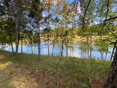 thumbnail_IMG_6591