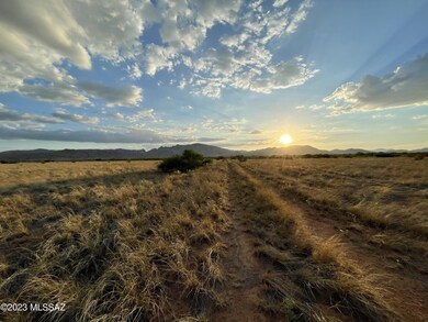 Peaceful Summer Sunset