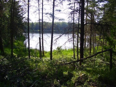 View # 1 Cranberry Lake