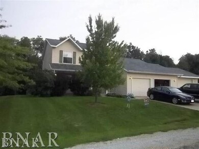 115 N Gadwall Ln, Downs, IL 61736 - photo 2