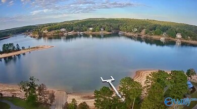 LOT 232 Stoney Point Rd, Double Springs, AL 35553 - photo 6