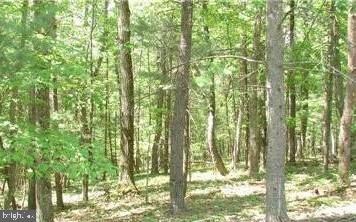 0 Crooked Pine Dr, Berkeley Springs, WV 25411 - photo 7