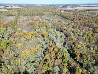 00 County Road 500 N, Olney, IL 62450 - photo 6