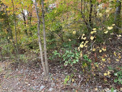 0 Freedom Trail, Asheboro, NC 27205 - photo 2