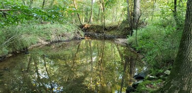 0 N Carolina 87 unit 60025, Pittsboro, NC 27312 - photo 7