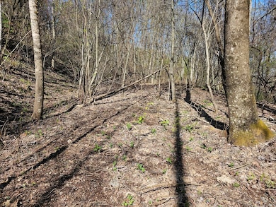 29A Timber Estates Rd, Charleston, NC 28713 - photo 5