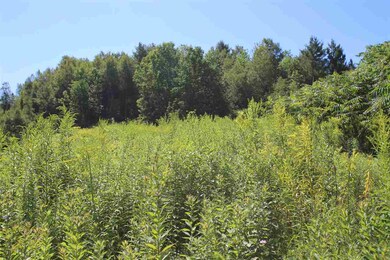 294 Vermont 64 unit Lot 2, Northfield, VT 05663 - photo 4