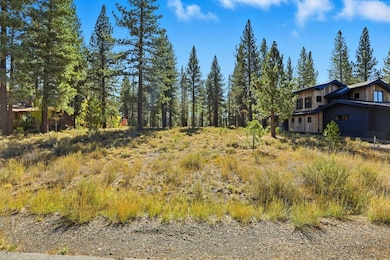 11111 Henness Rd, Truckee, CA 96161 - photo 2
