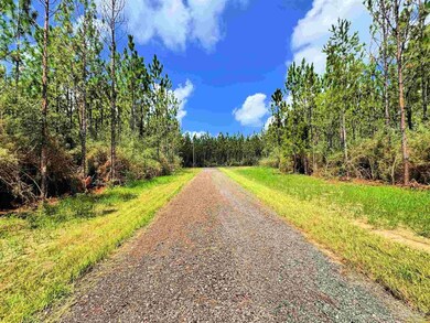 Parcel C Killian Dr, Jay, FL 32565 - photo 6