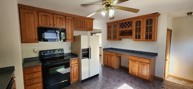 206 S Garfield St, Barneveld, WI 53507 - photo 4