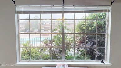 View of pool from living room window