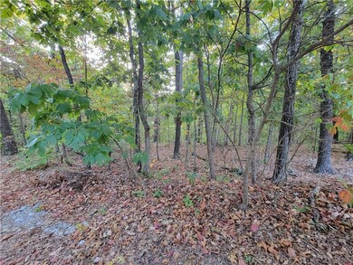 0 Cockerham Ln, Bella Vista, AR 72714 - photo 4