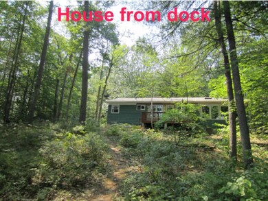 124 Walker Pond Rd, Webster, NH 03303 - photo 5