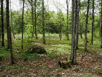 Land/Lot.