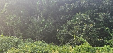 0 E Moonshine 1000 Rd unit 2526568, Gore, OK 74435 - photo 3