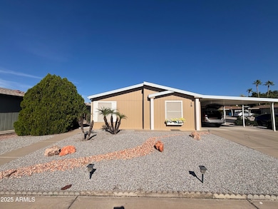 Low Maintenance Landscape