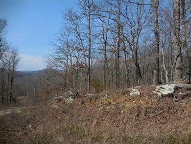12475 Devils Den Rd, Winslow, AR 72959 - photo 2
