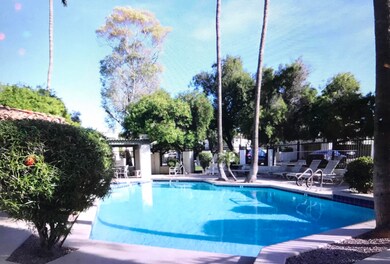 community pool
