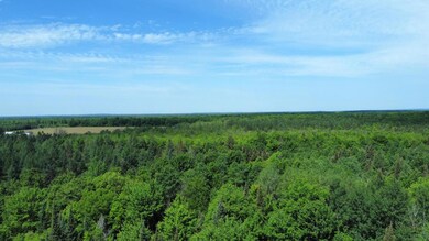 ON Cth J, Cty J, WI 54424 - photo 2