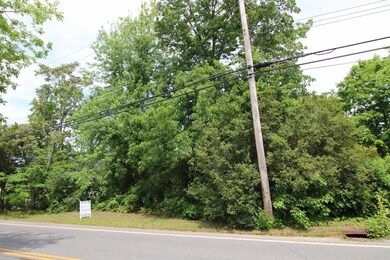 221 Magnolia Ave, Toms River, NJ 08757 - photo 4