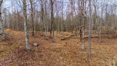 01-DJI_20250107115116_0169_D-HDR