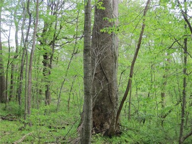 251 W Henry Rd, Kirklin, IN 46050 - photo 3