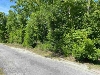 23 Lee St, Crawfordville, FL 32327 - photo 4