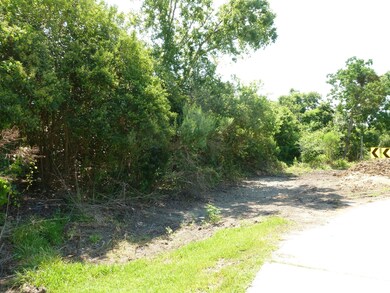 The subject property is two legal lots and has two