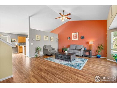 3325 Wigwam Way, Wellington, CO 80549 - photo 7